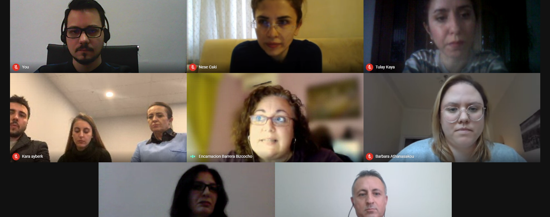 Screenshot from the first project meeting